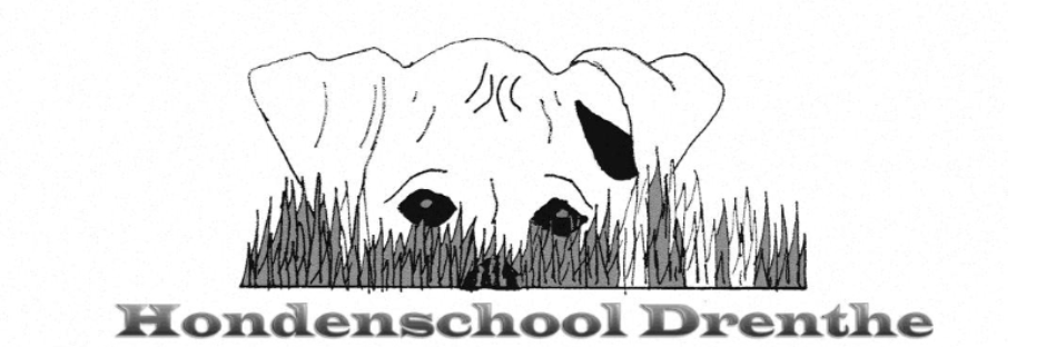 Hondenschool Drenthe